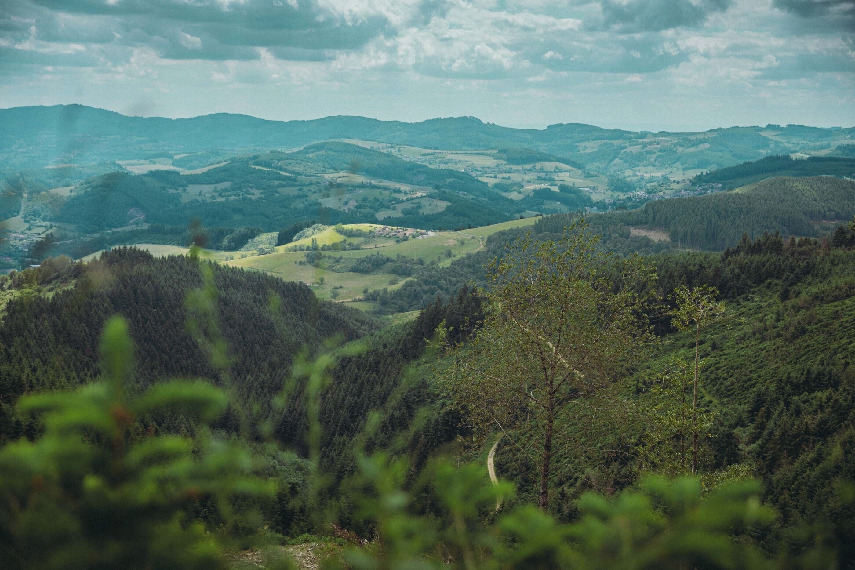 Vista panorámica de un paisaje montañoso con colinas ondulantes y densos bosques.
