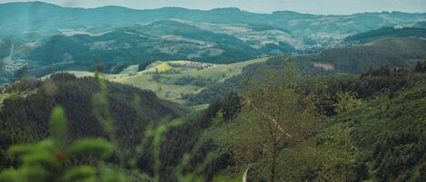 Vista panorámica de un paisaje montañoso con colinas ondulantes y densos bosques.