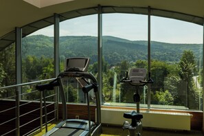 Deluxe Apartment, 1 King Bed (Zielony) | 1 bedroom, hypo-allergenic bedding, minibar, in-room safe