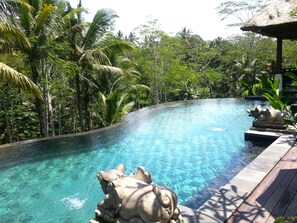 Outdoor pool, an infinity pool, pool umbrellas, pool loungers