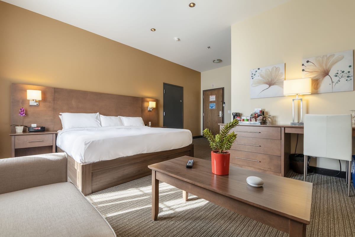 A hotel room with a bed, bedside table, lamp, desk, chair, and a potted plant.