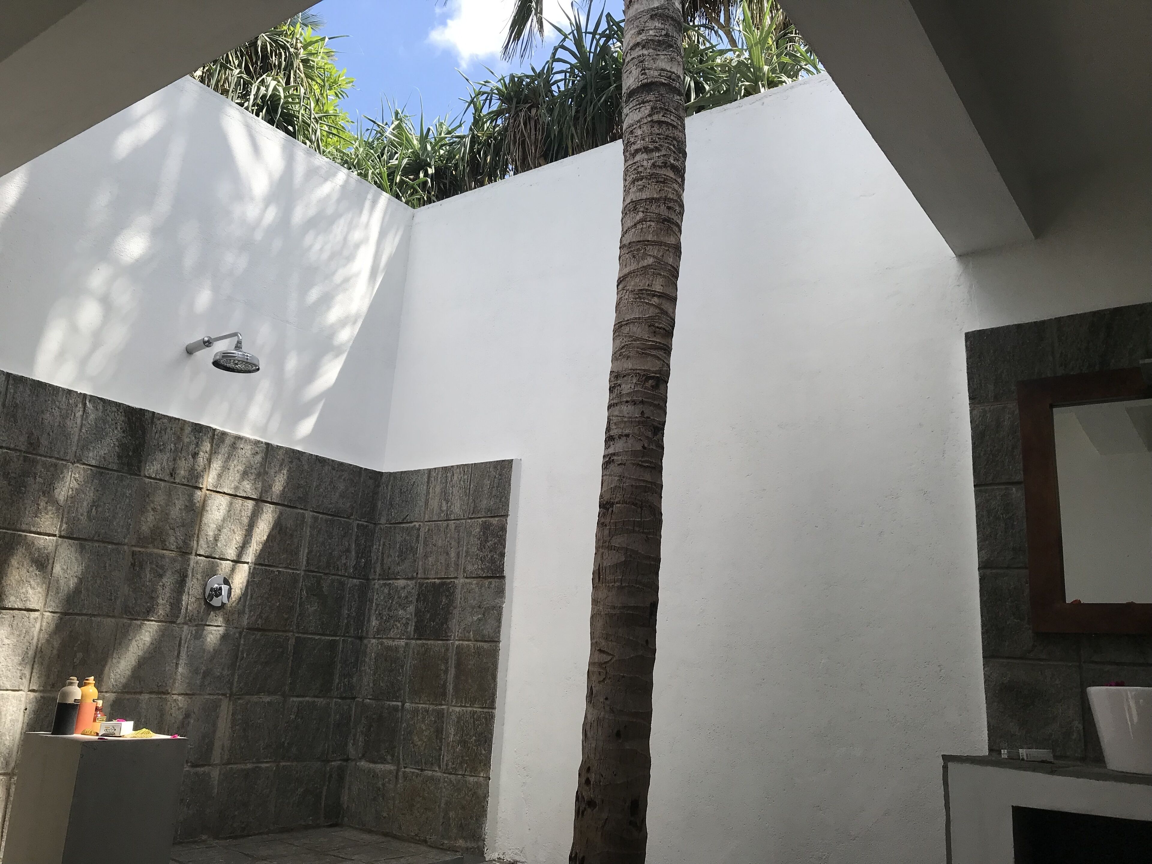 A modern bathroom with a stone shower, a tall palm tree, and a view of the sky.