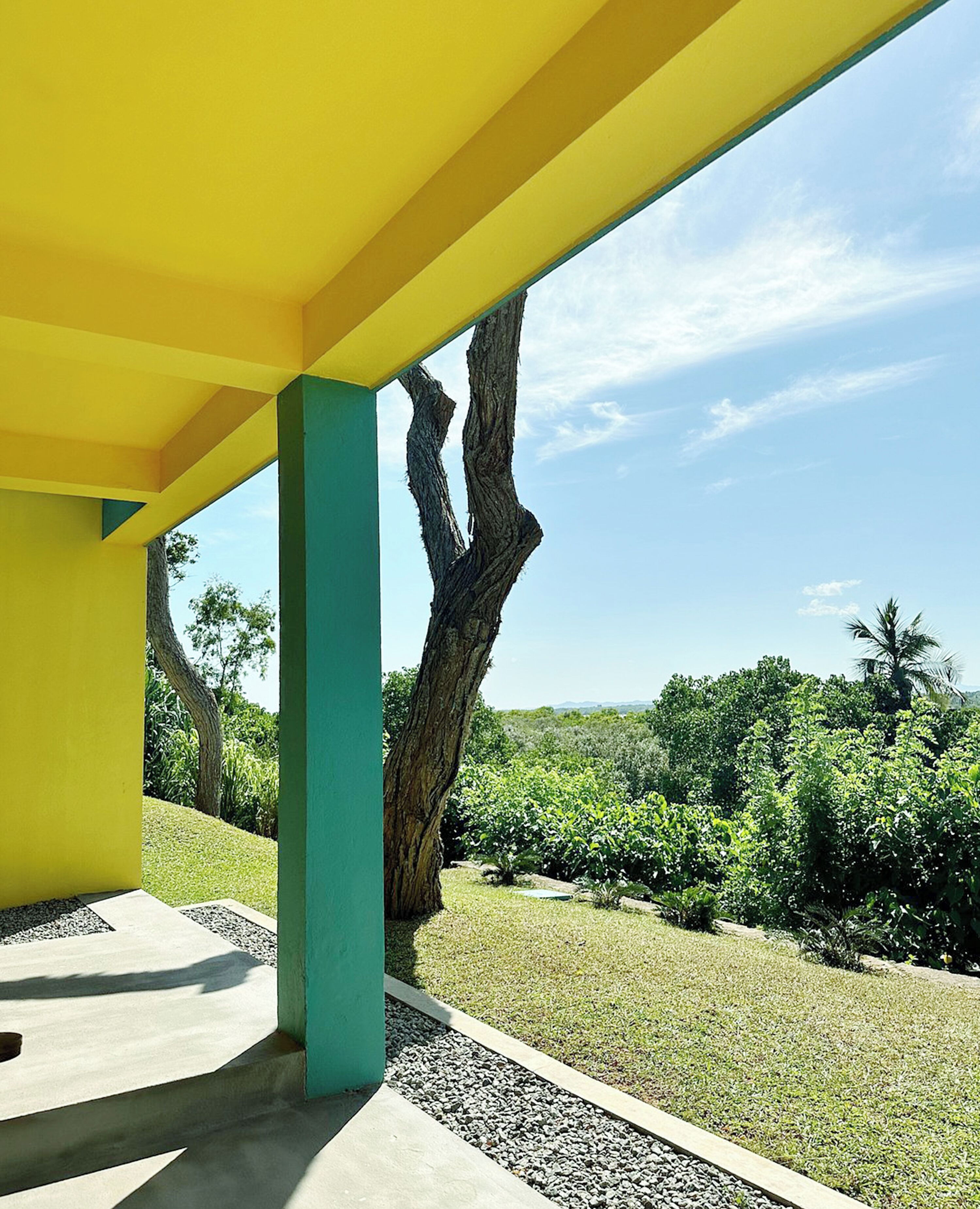 A modern building with yellow and teal structural elements, a concrete floor, and a view of a tree and greenery.