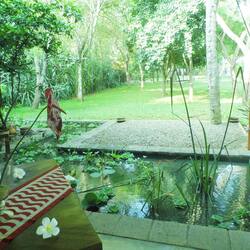 Couples treatment room(s), deep-tissue massages, facials