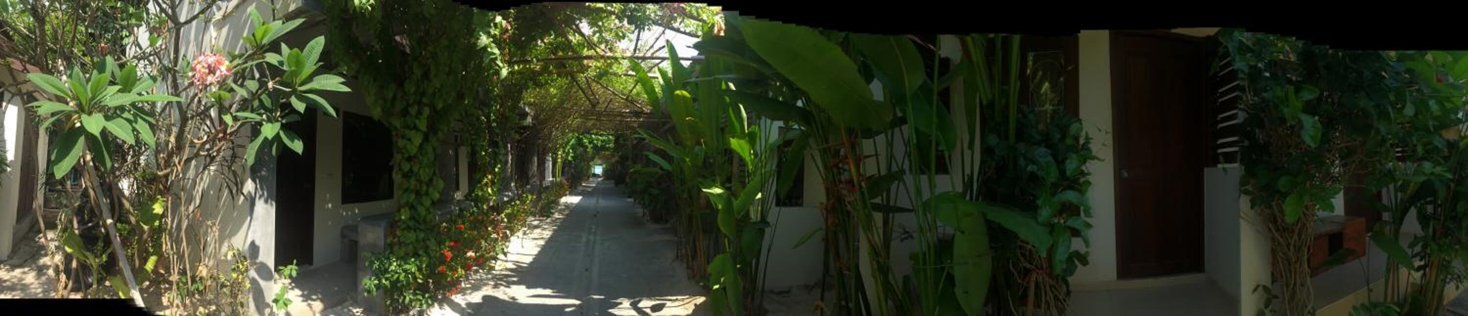 A narrow pathway flanked by lush greenery and buildings.