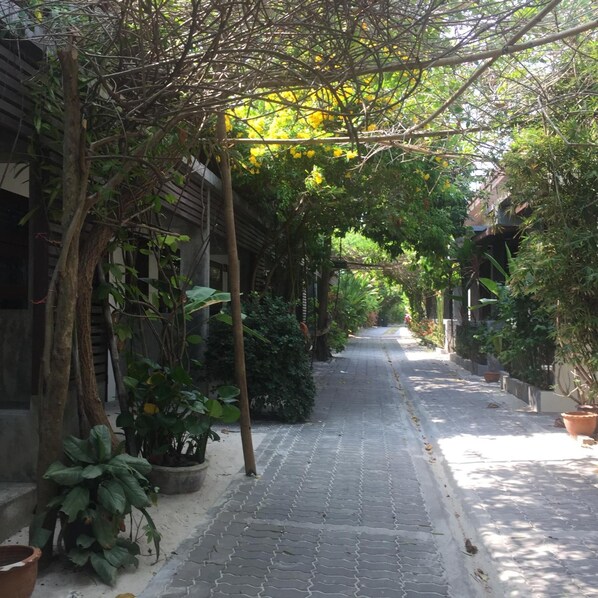 Property grounds - Lucky Mother Bungalow Chaweng (Koh Samui)