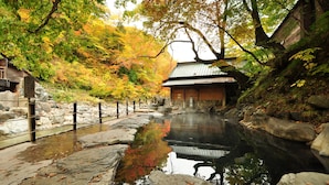 Il s’agit d’un bâtiment traditionnel japonais, doté d’un toit recouvert de tuiles, d’un chemin de pierre et d’un petit étang dans lequel se reflètent les arbres environnants.