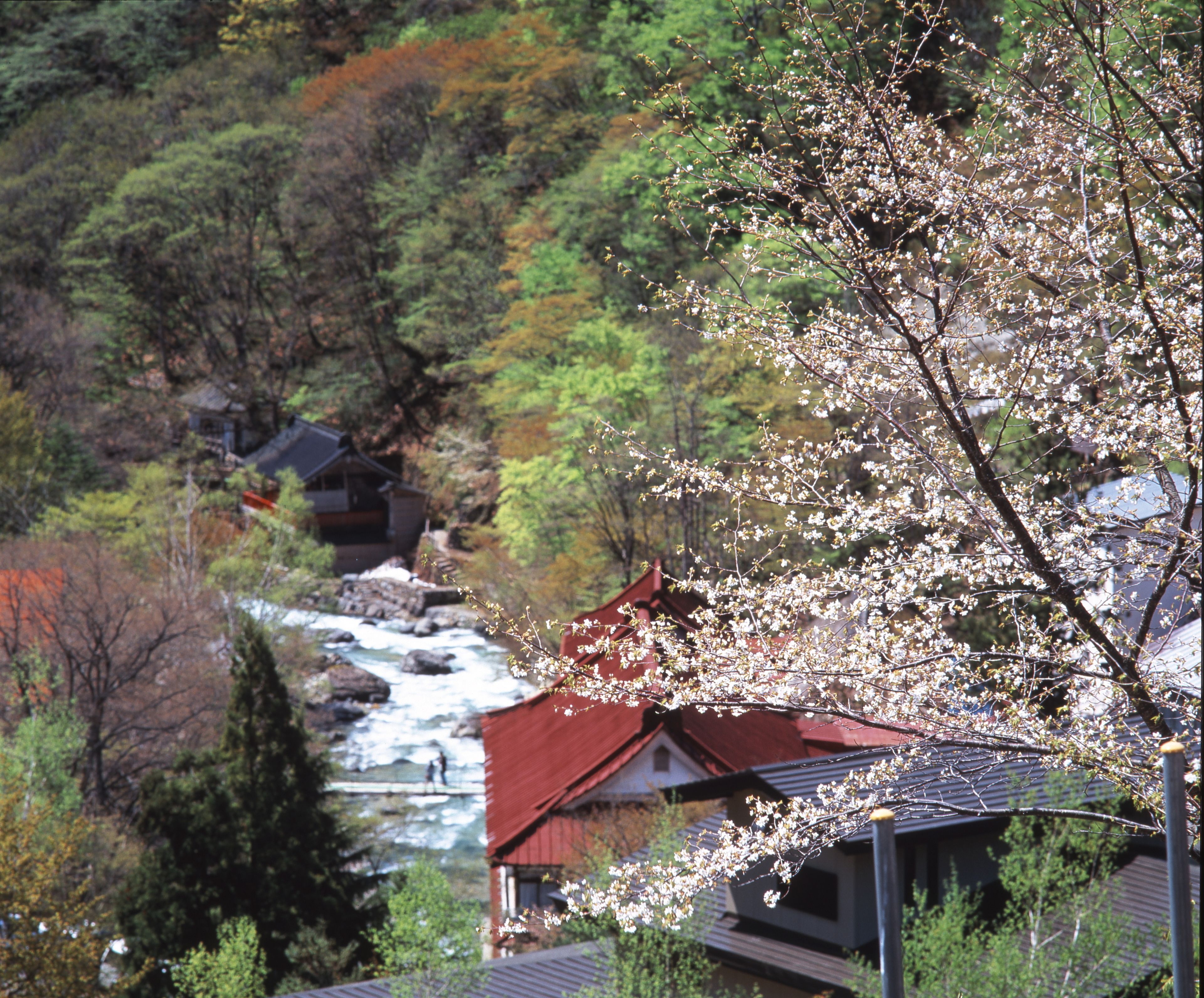 A traditional Japanese house with a red roof, surrounded by lush greenery and a river.