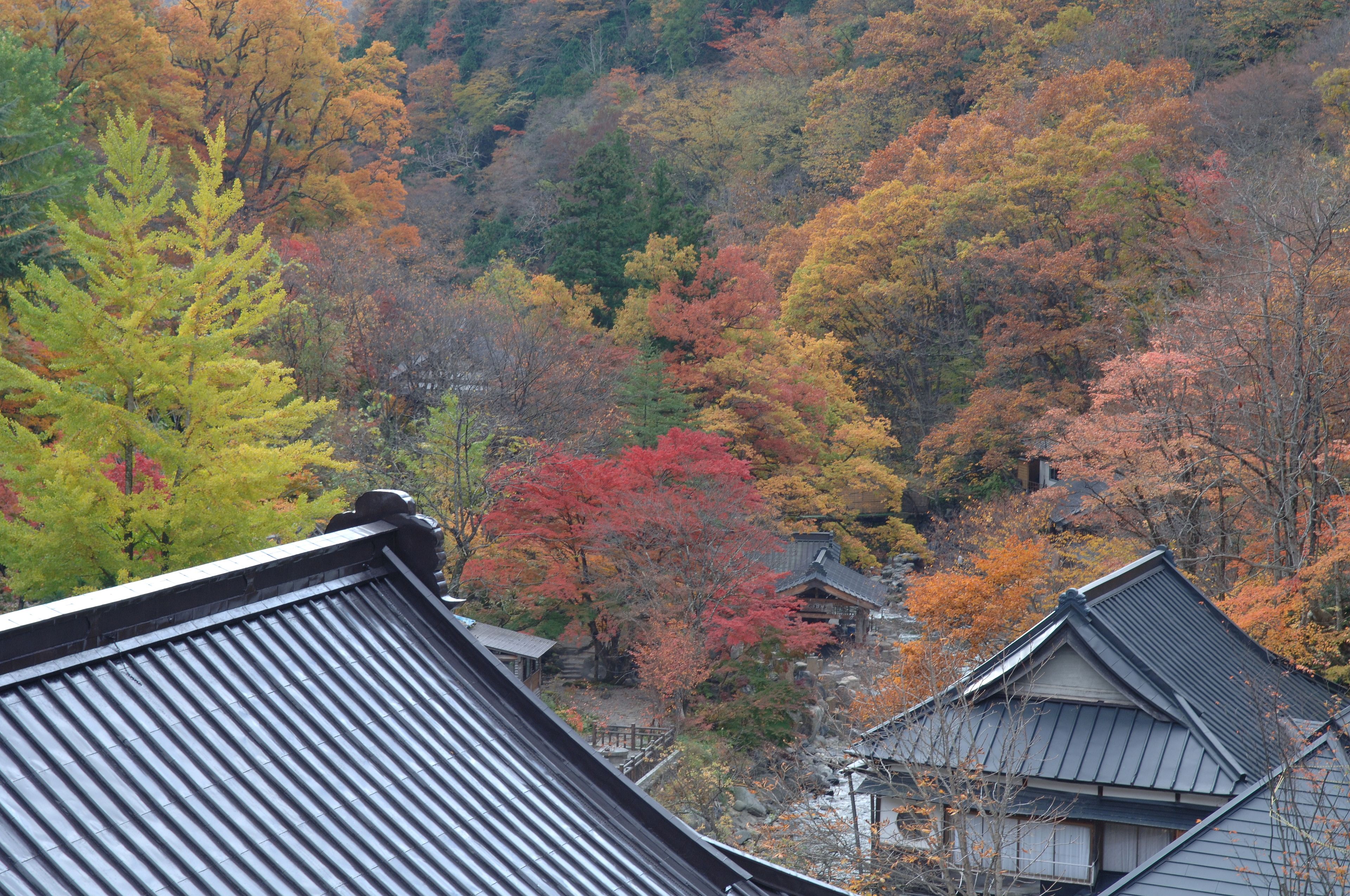 A traditional Japanese building with a sloped roof, surrounded by autumn-colored trees.