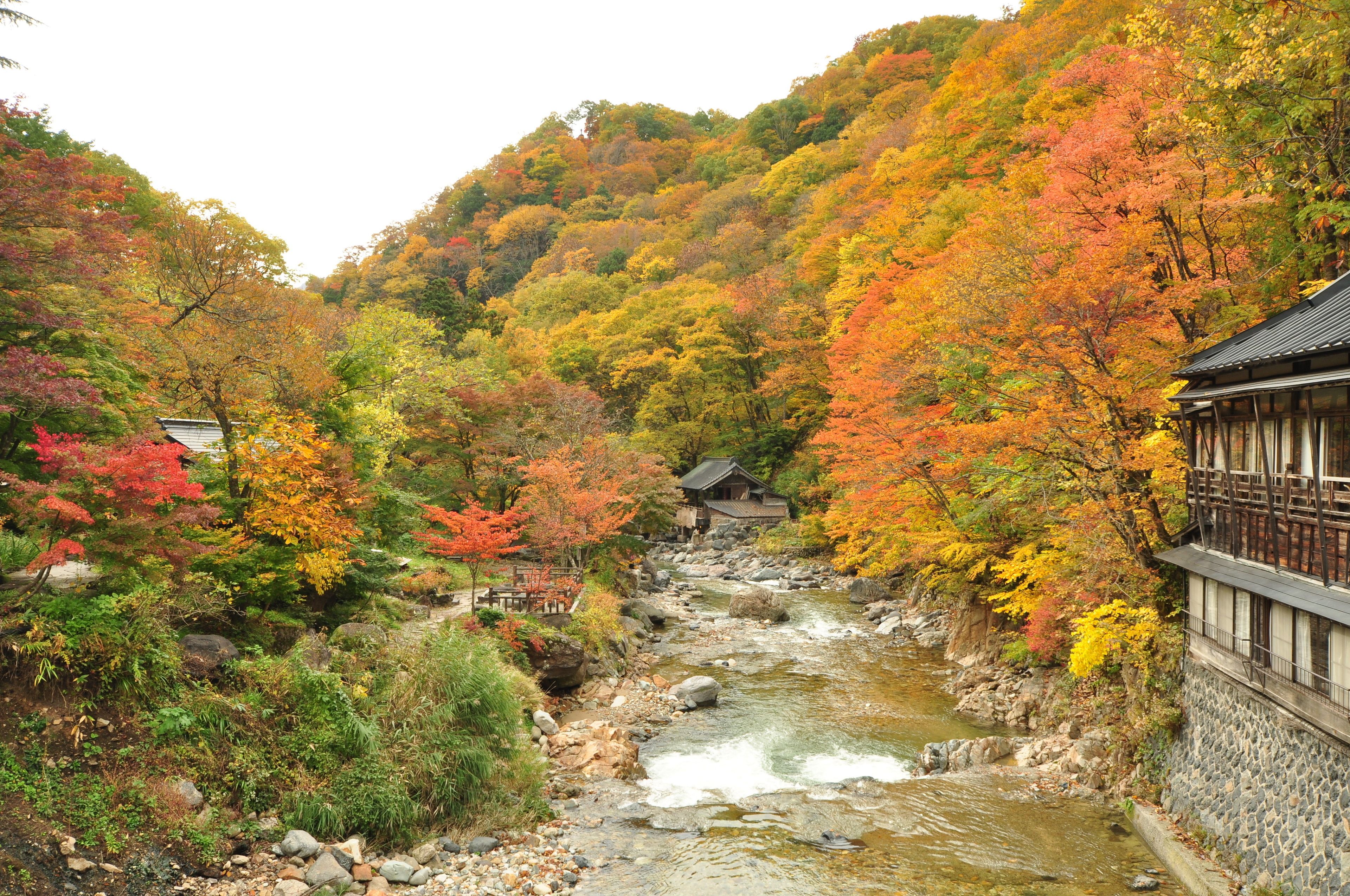 Un edificio de estilo japonés tradicional con pared de piedra y terraza de madera, ubicado junto a un río con árboles de colores otoñales.