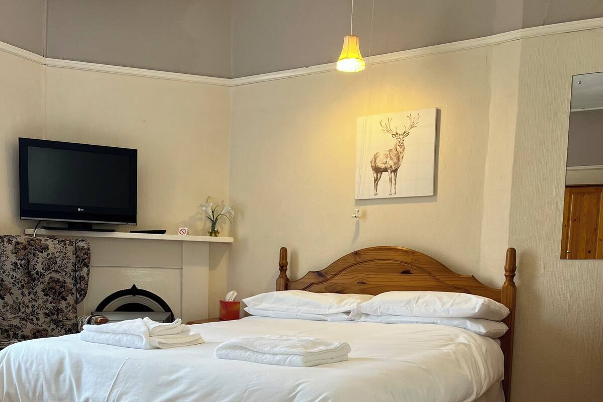 A neatly made bed with white linens, a television on a stand, a floral-patterned chair, and a wall-mounted picture of a deer.