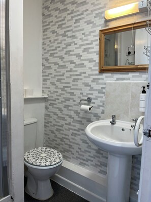 Chambre quadruple | Salle de bain | Douche, serviettes fournies