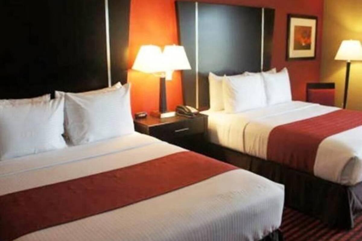 Premium bedding, desk, iron/ironing board, free cribs/infant beds