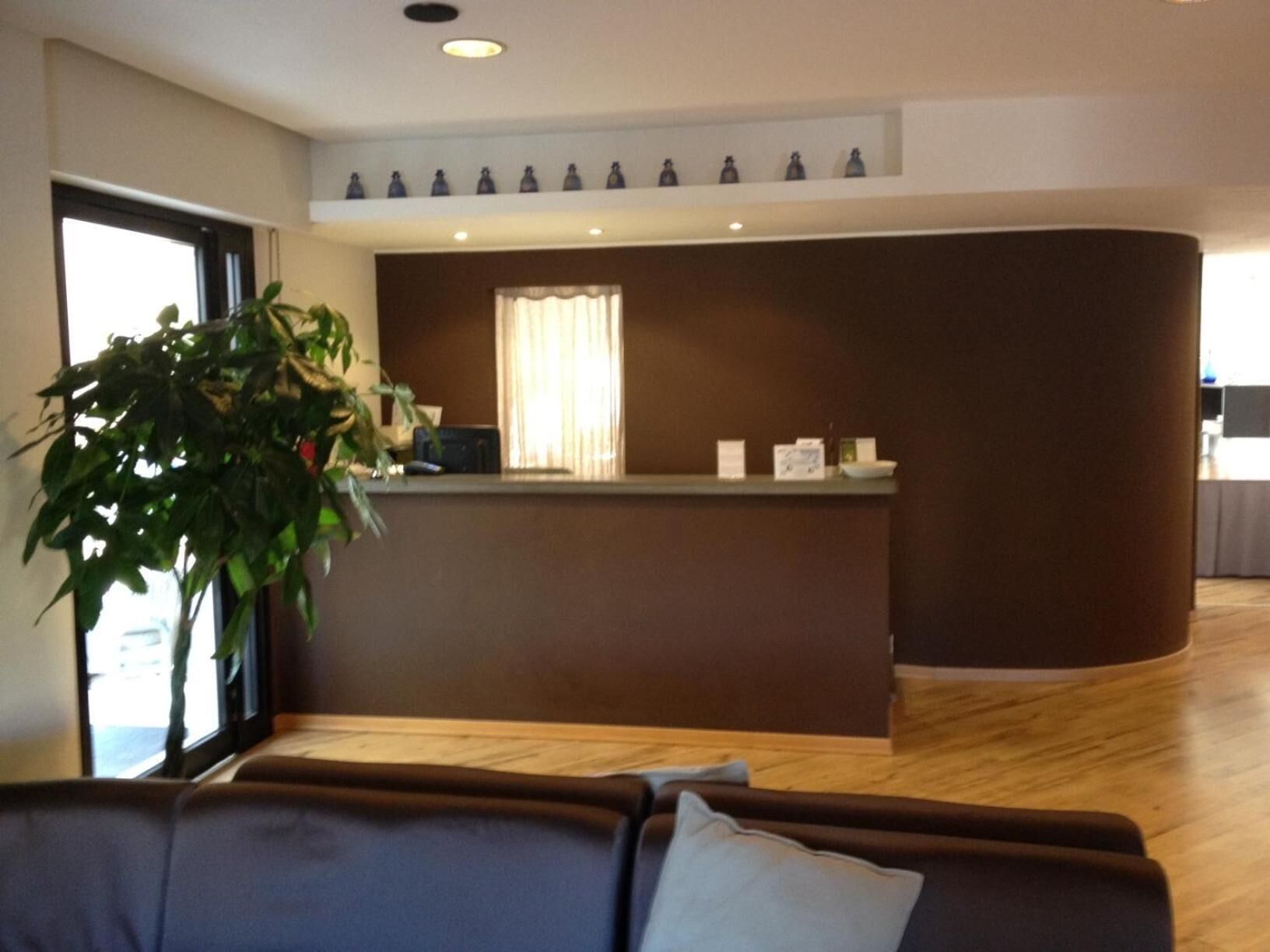 Un área de recepción moderna con un mostrador curvo, un ventanal con cortinas, una planta en maceta y un espacio de descanso con sofá.