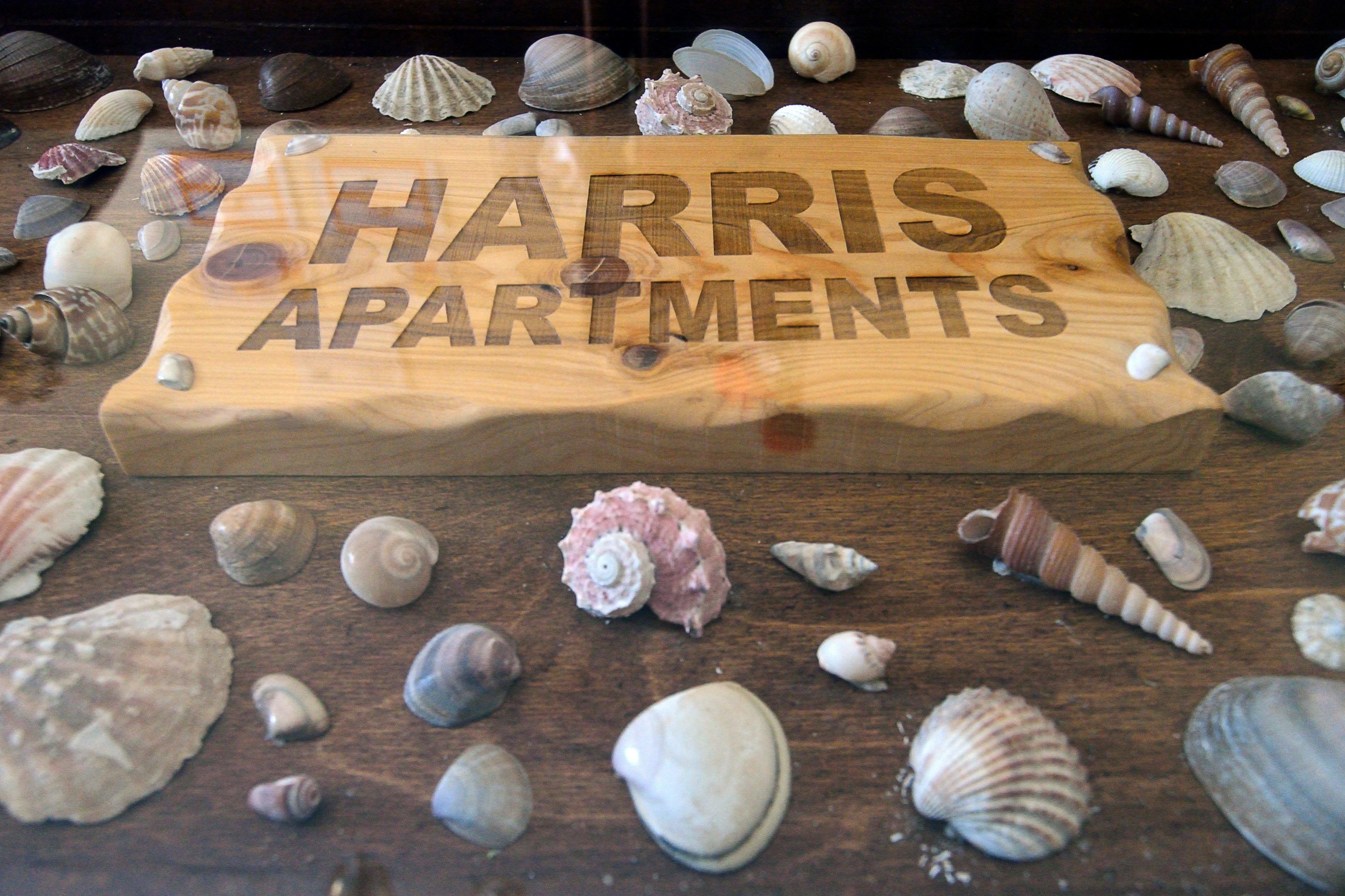 A wooden sign with "HARRIS APARTMENTS" written on it surrounded by various seashells.