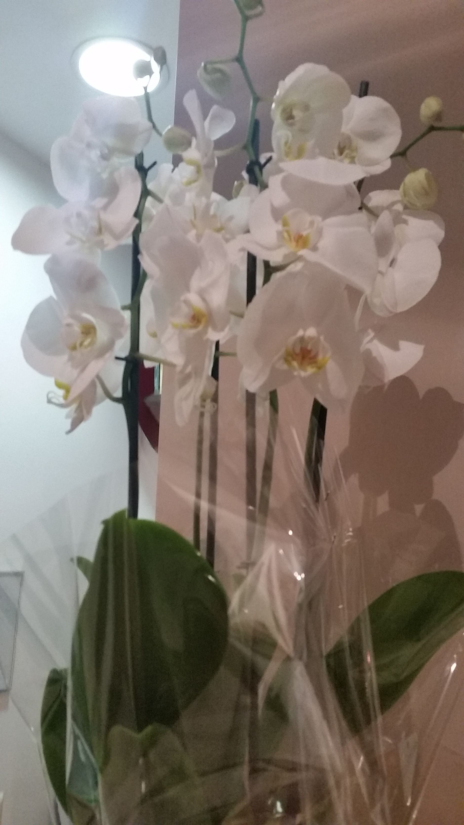 Photo - InnVatican Guest House