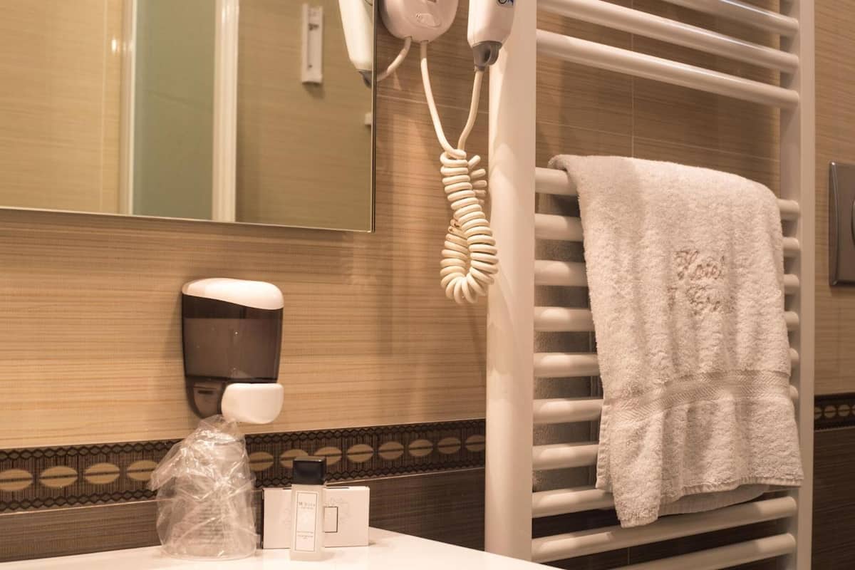 shower, free toiletries, hair dryer, bidet