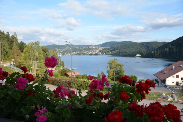 Vue depuis l’hébergement