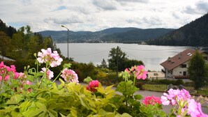 Unclassified image, 5 of 52, button - Les Reflets du Lac (Gerardmer)