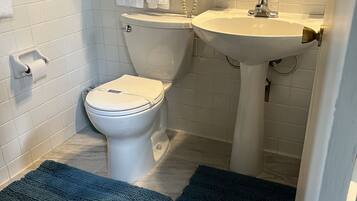 A bathroom with a toilet, sink, and a hairdryer on the wall. There are two blue rugs on the floor.