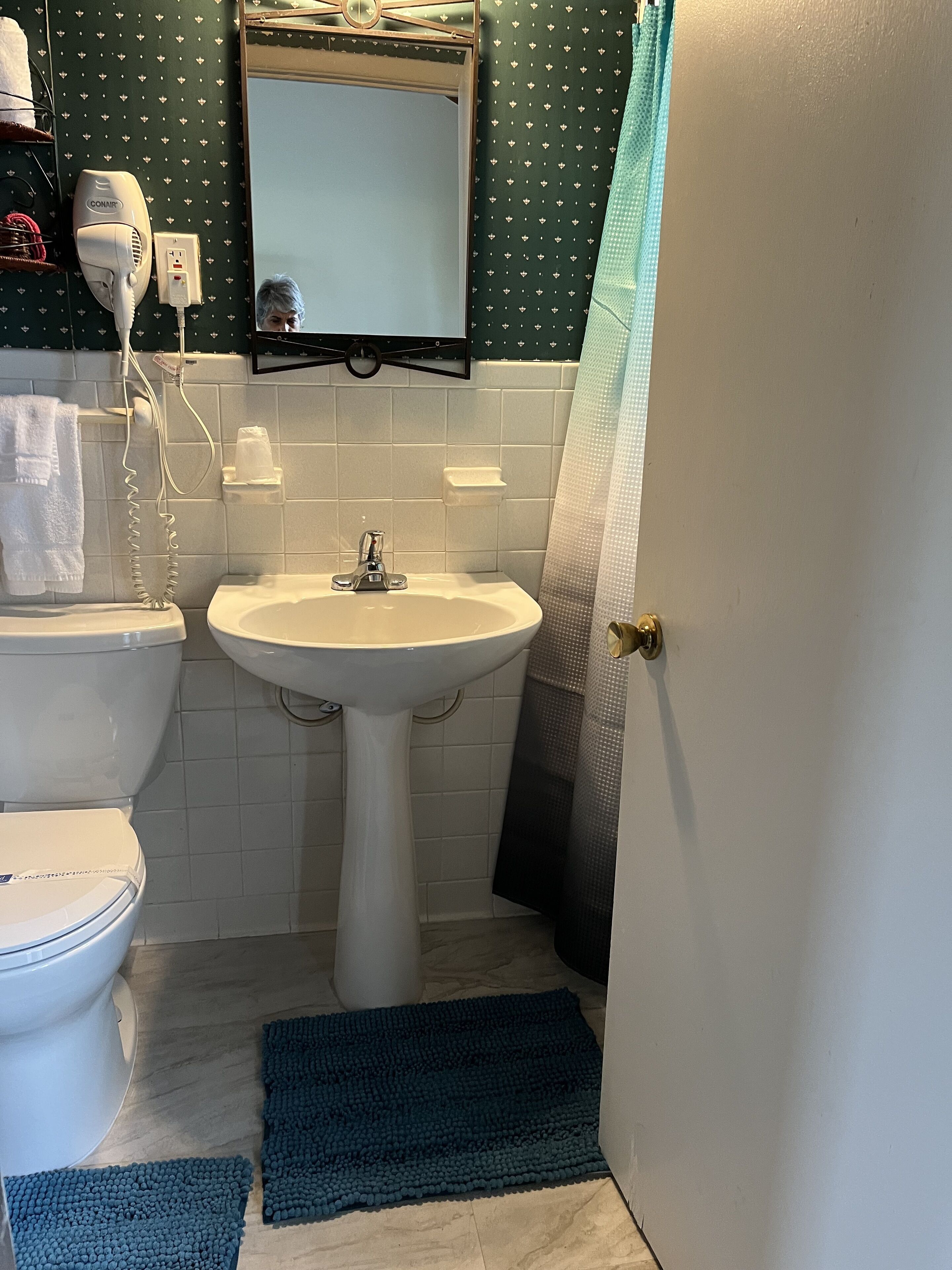 A bathroom with a white toilet, a pedestal sink, a mirror above the sink, a shower curtain, and a blue rug on the floor.