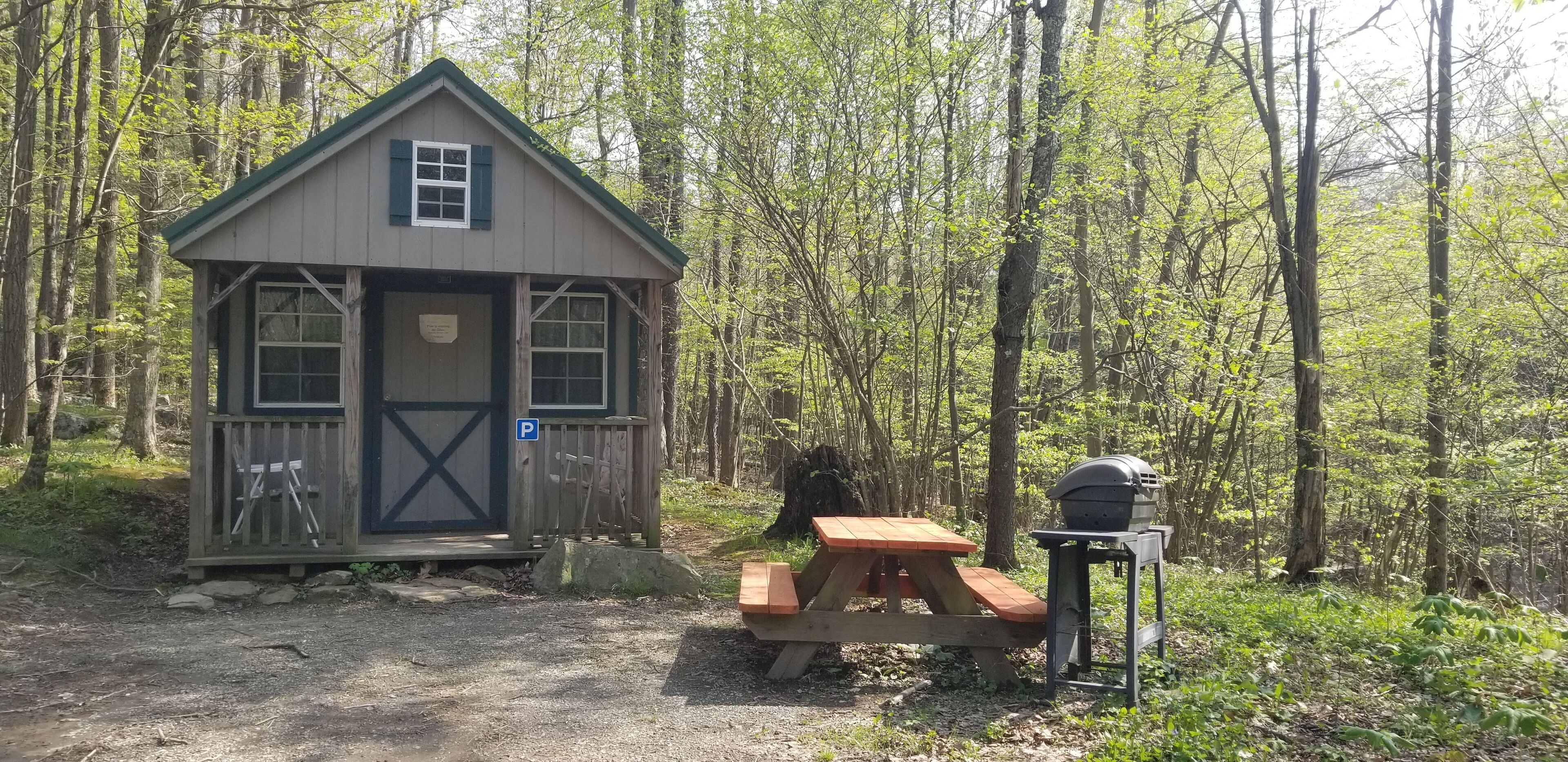 Una cabaña de madera pequeña con mesa de picnic y parrilla en un área boscosa.