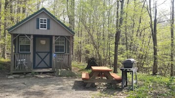 Une petite cabane en bois avec une table de pique-nique et un barbecue, située dans une zone boisée.