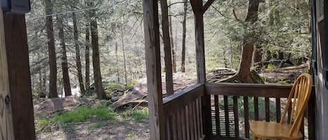 Una terraza de madera con una silla, con vista a un área boscosa con árboles altos y un tronco caído.
