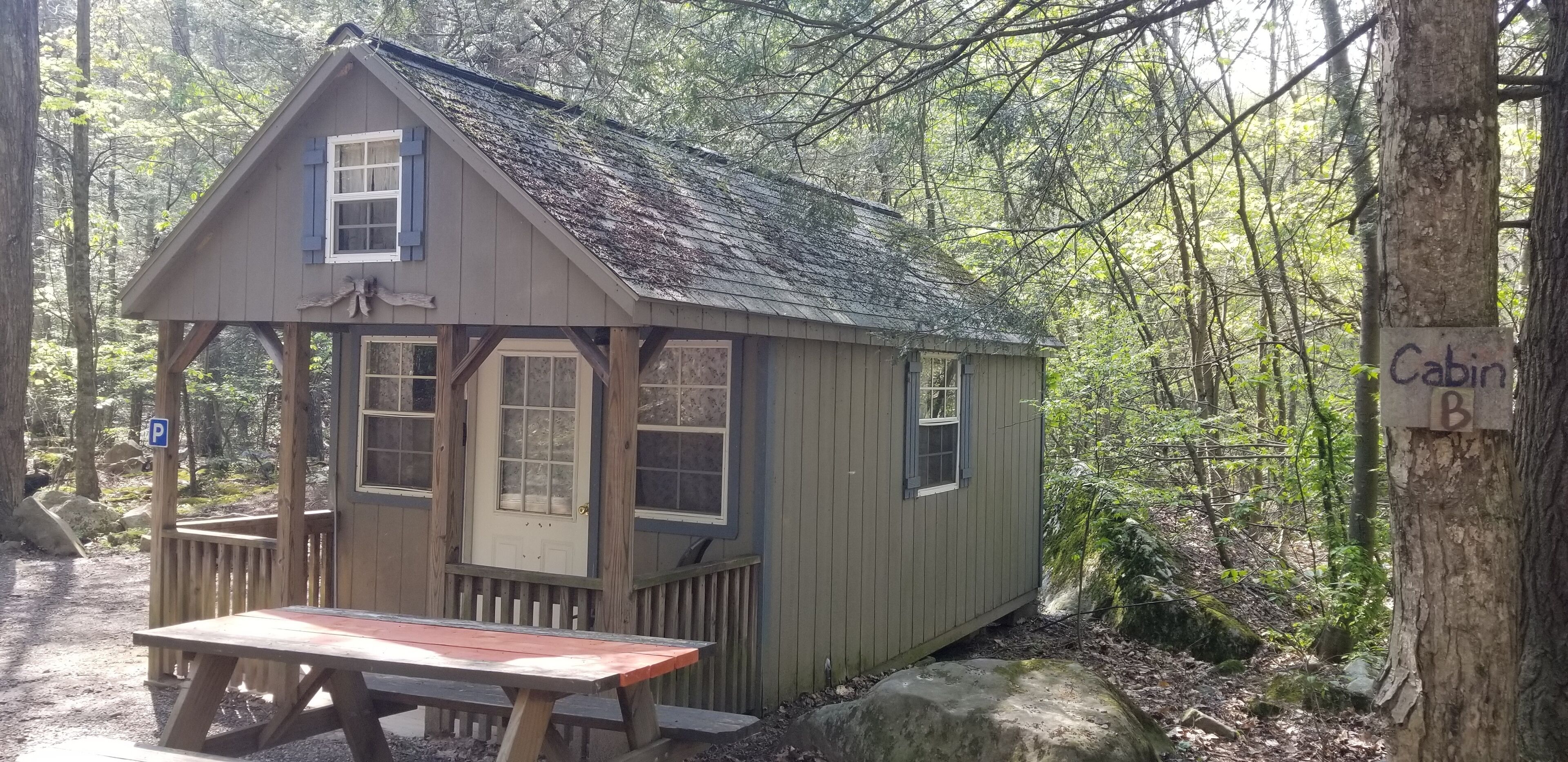 Cabin B