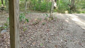 Ein bewaldetes Gebiet mit einem Feldweg und einem hölzernen Pfosten im Vordergrund.
