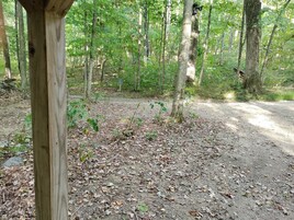 Cabin E | View from room