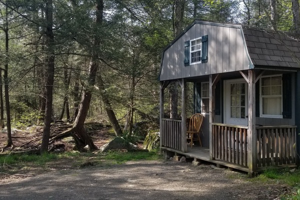 Cabin D