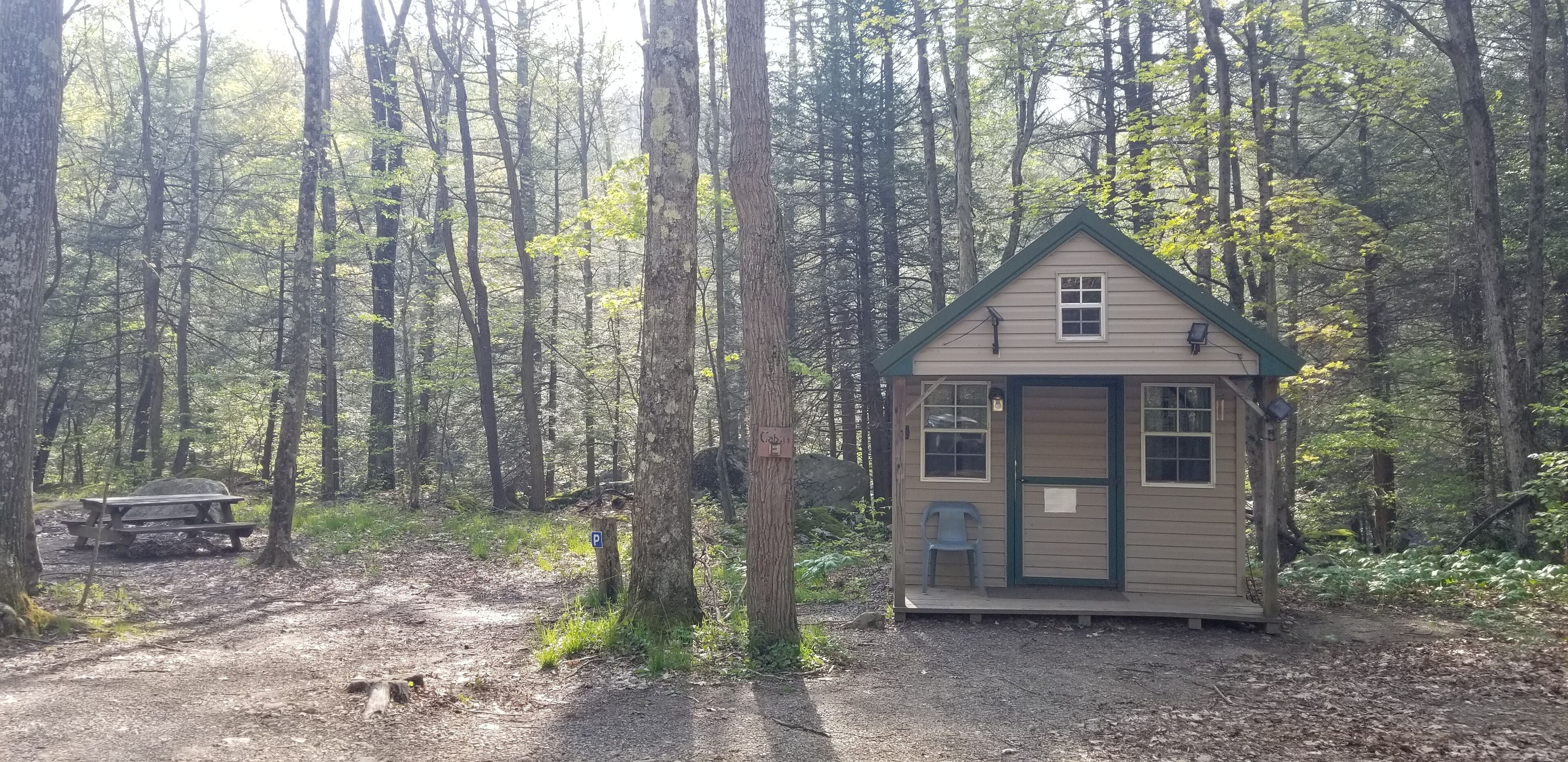 A small wooden cabin with a green roof, a door, and a window, surrounded by a forest with a picnic table nearby.