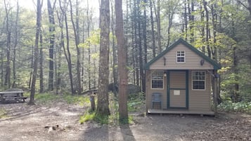 Una cabaña de madera pequeña con techo verde, una puerta y una ventana, rodeada por un bosque con una mesa de picnic cerca.
