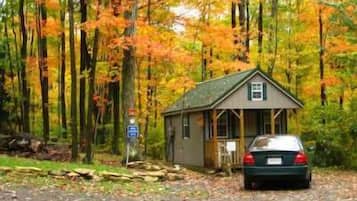 Cabin C