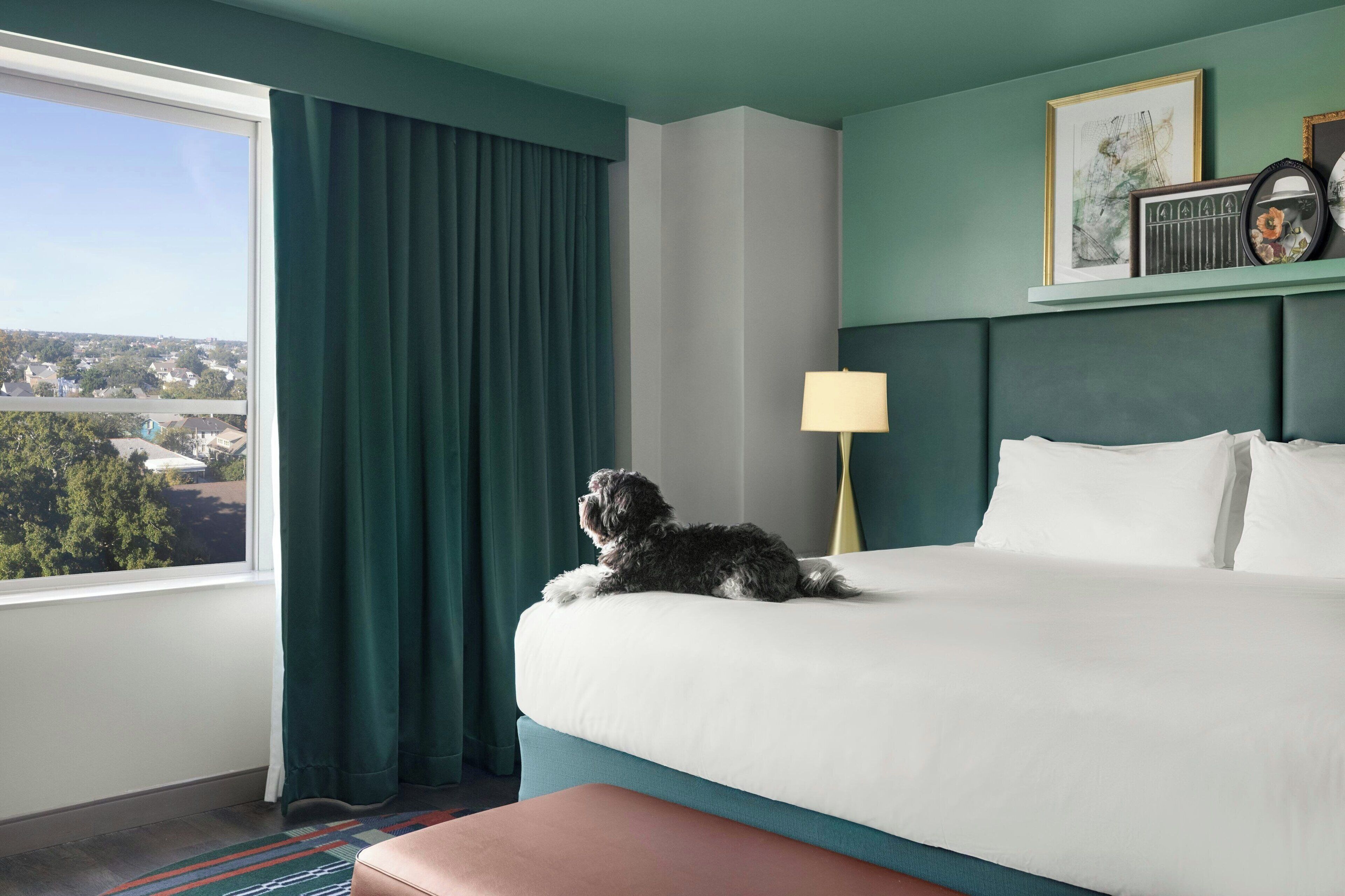A hotel room with a bed, a window with curtains, a lamp, and a view of the city.