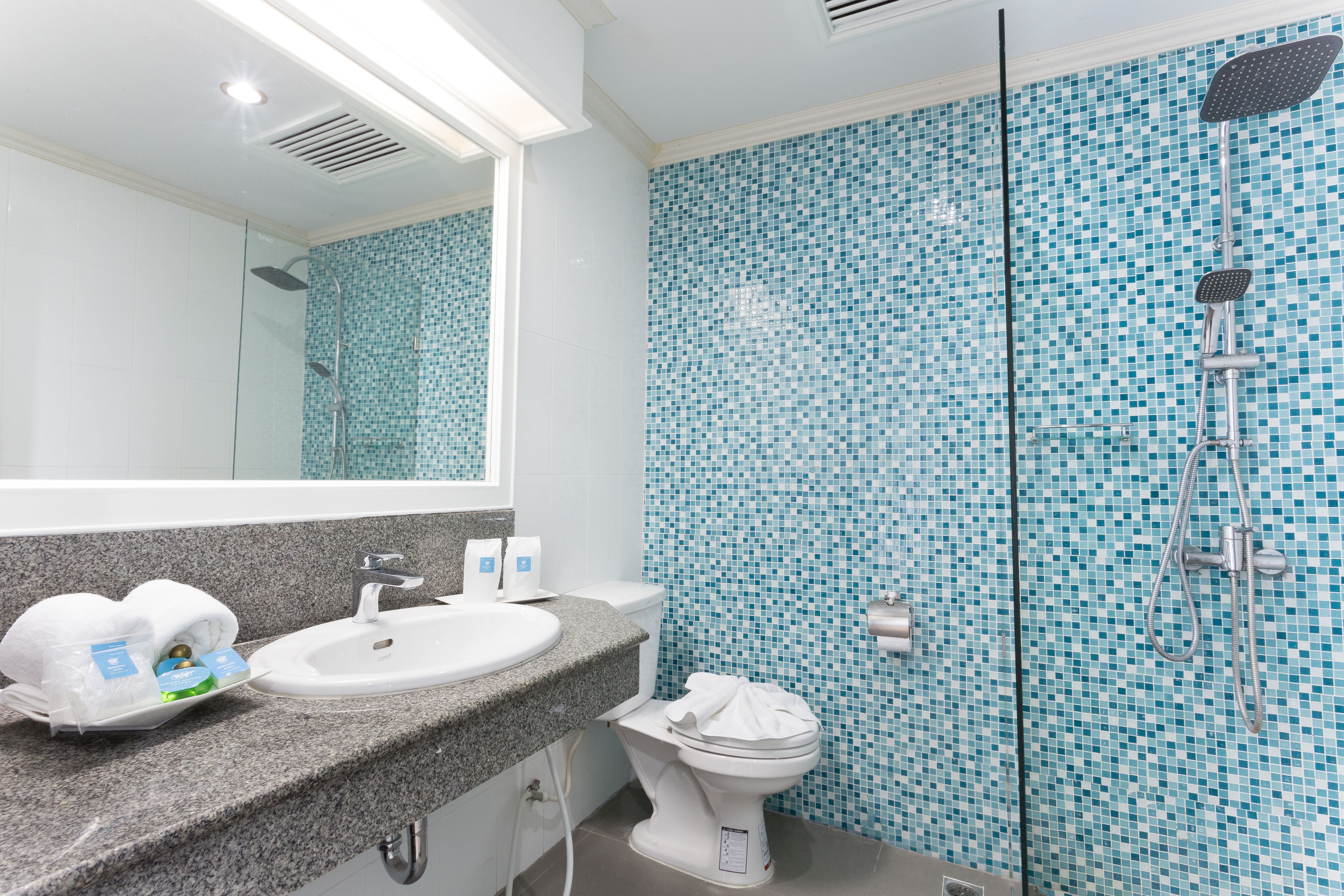 superior double or twin room | bathroom | shower, rainfall showerhead, free toiletries, hair dryer