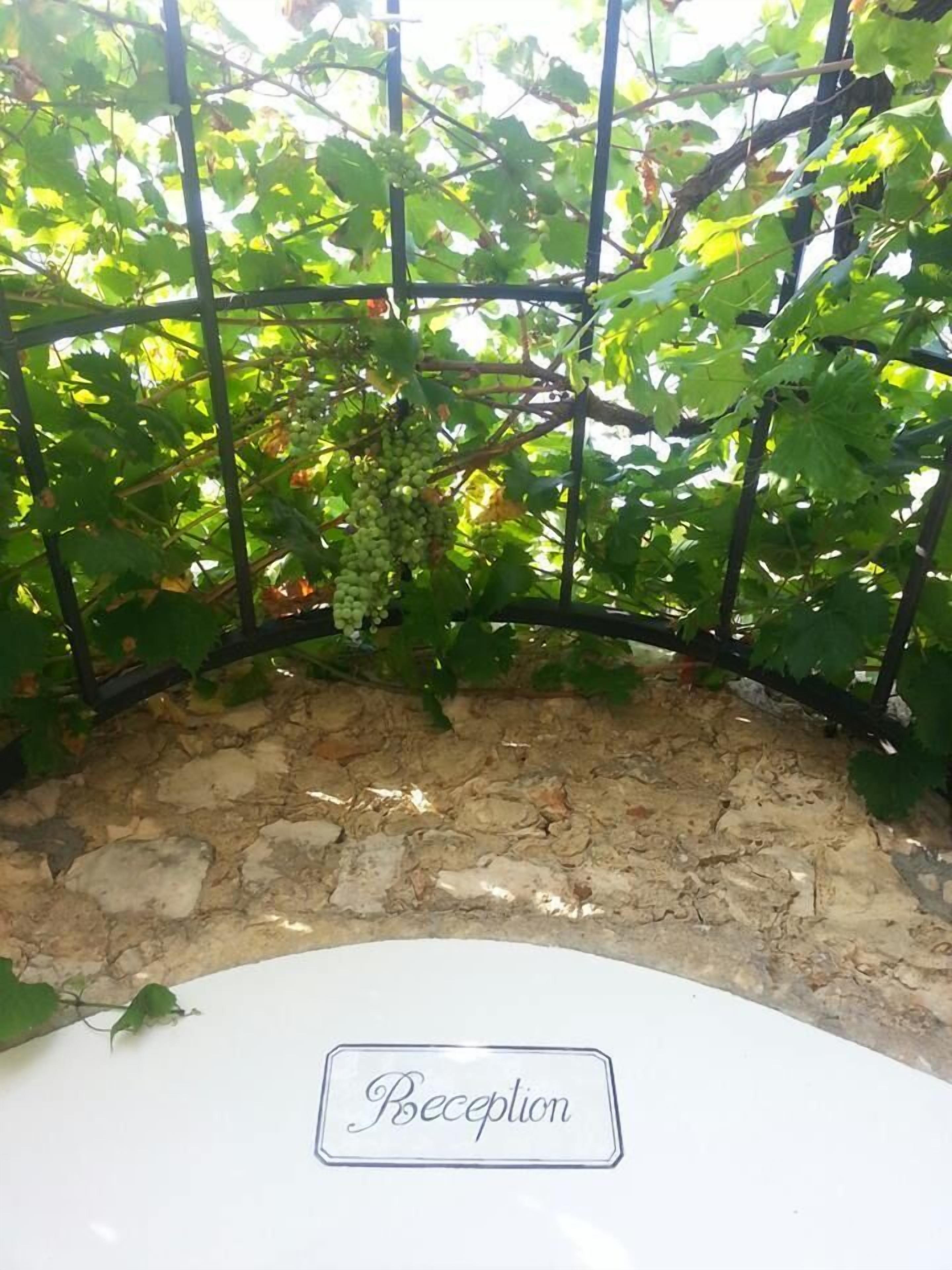 A reception area with a stone wall and a sign that reads "Reception".