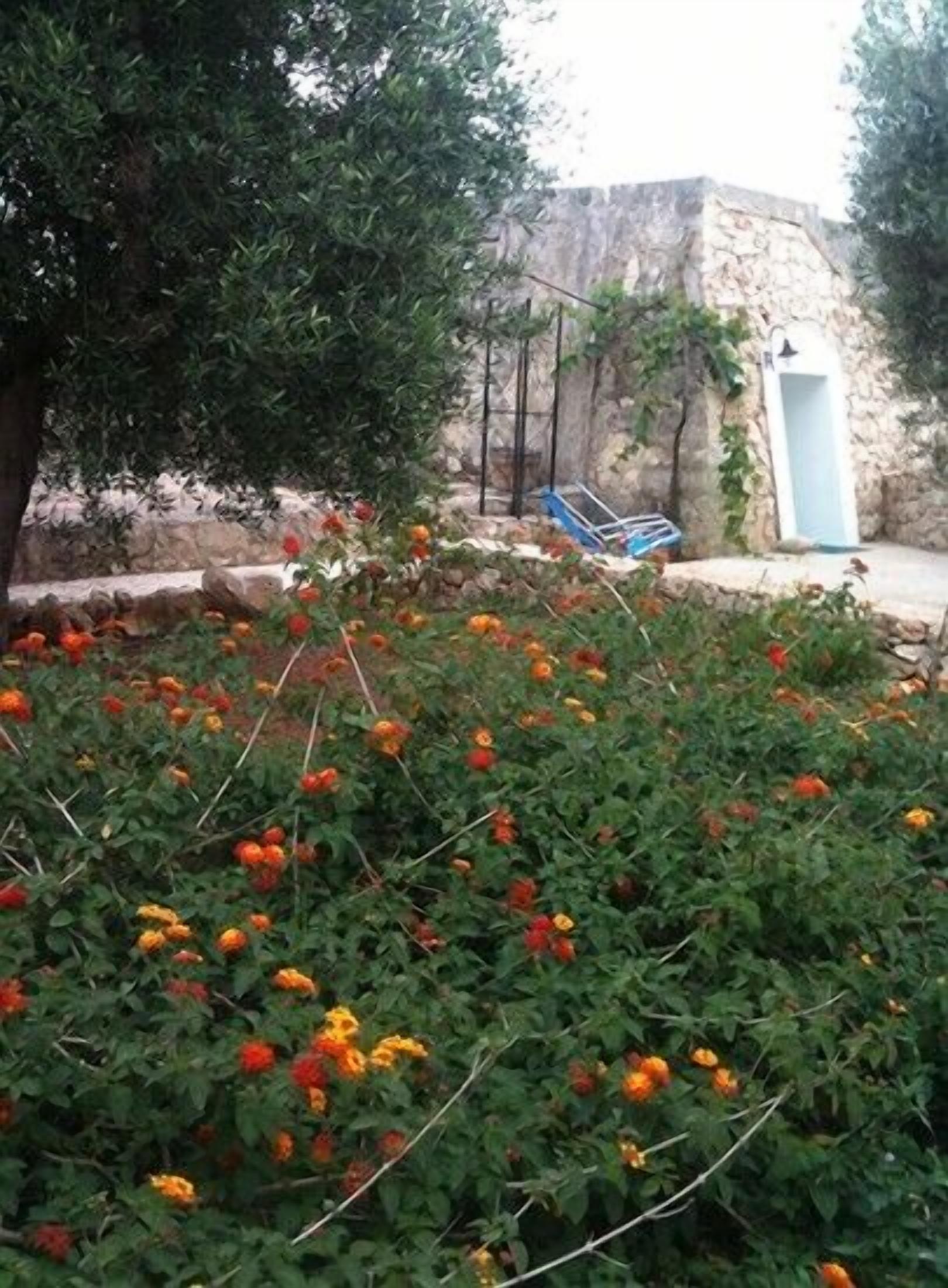 A garden with vibrant flowers, a stone wall, and a blue door.