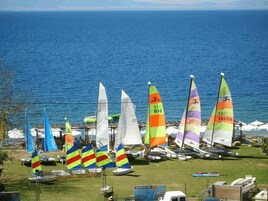 A grassy area with several small sailboats and colorful sails, some with numbers and symbols, near a body of water.