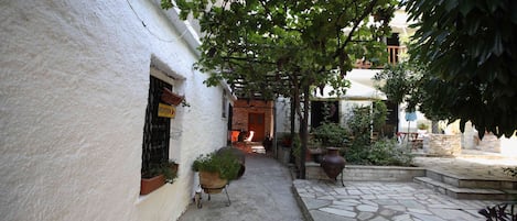 Un patio estrecho con pared blanca, un camino de piedra y plantas en macetas.
