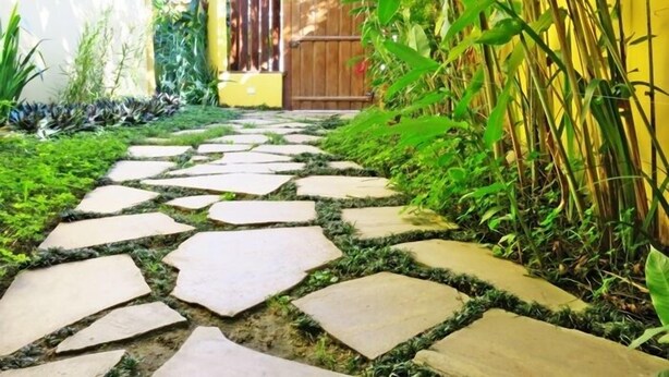 Un sendero de piedra conduce a una puerta de madera, rodeado de abundante follaje y un muro amarillo.