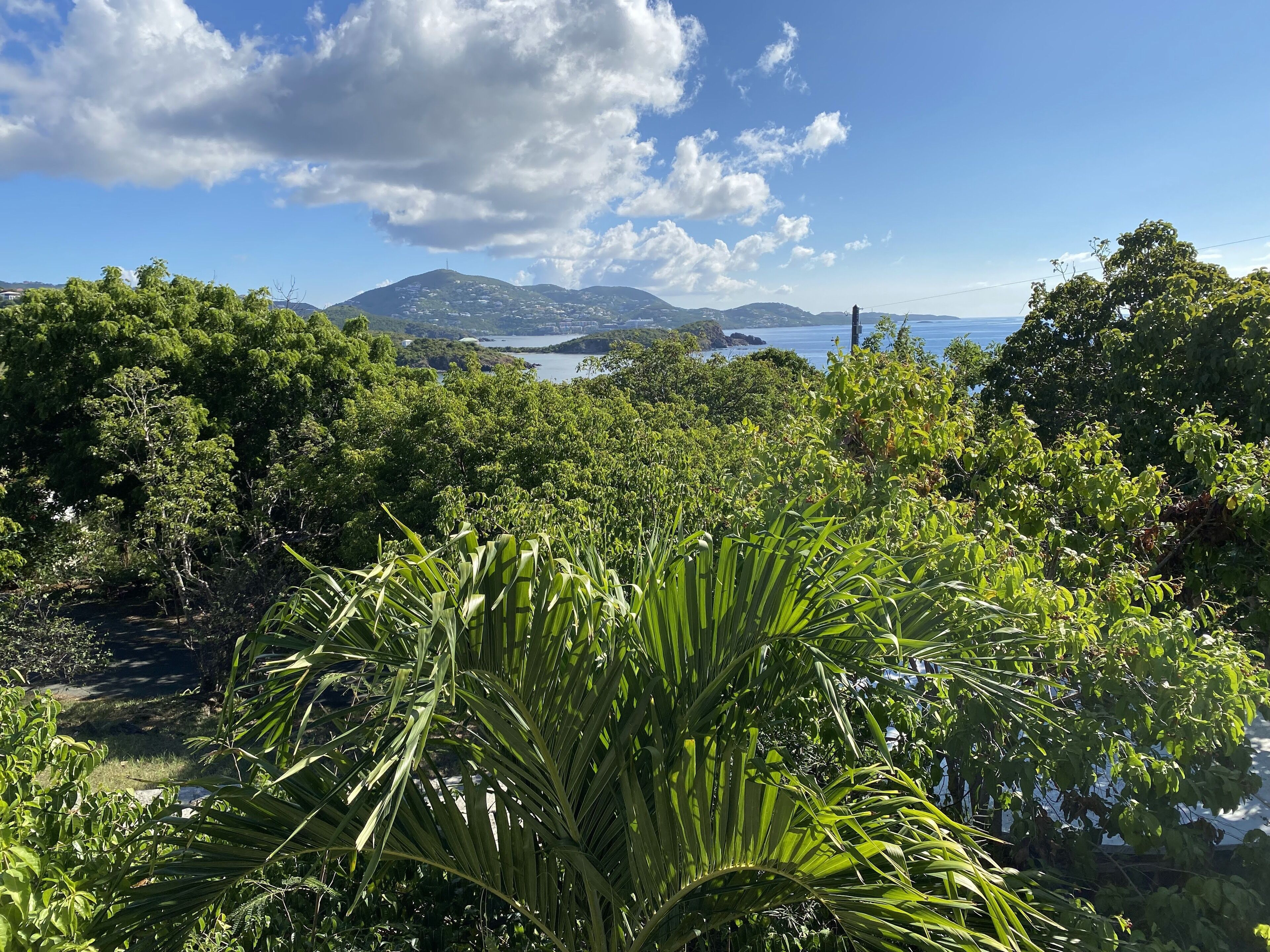 A lush green landscape with dense foliage and a clear view of a distant body of water and mountains.