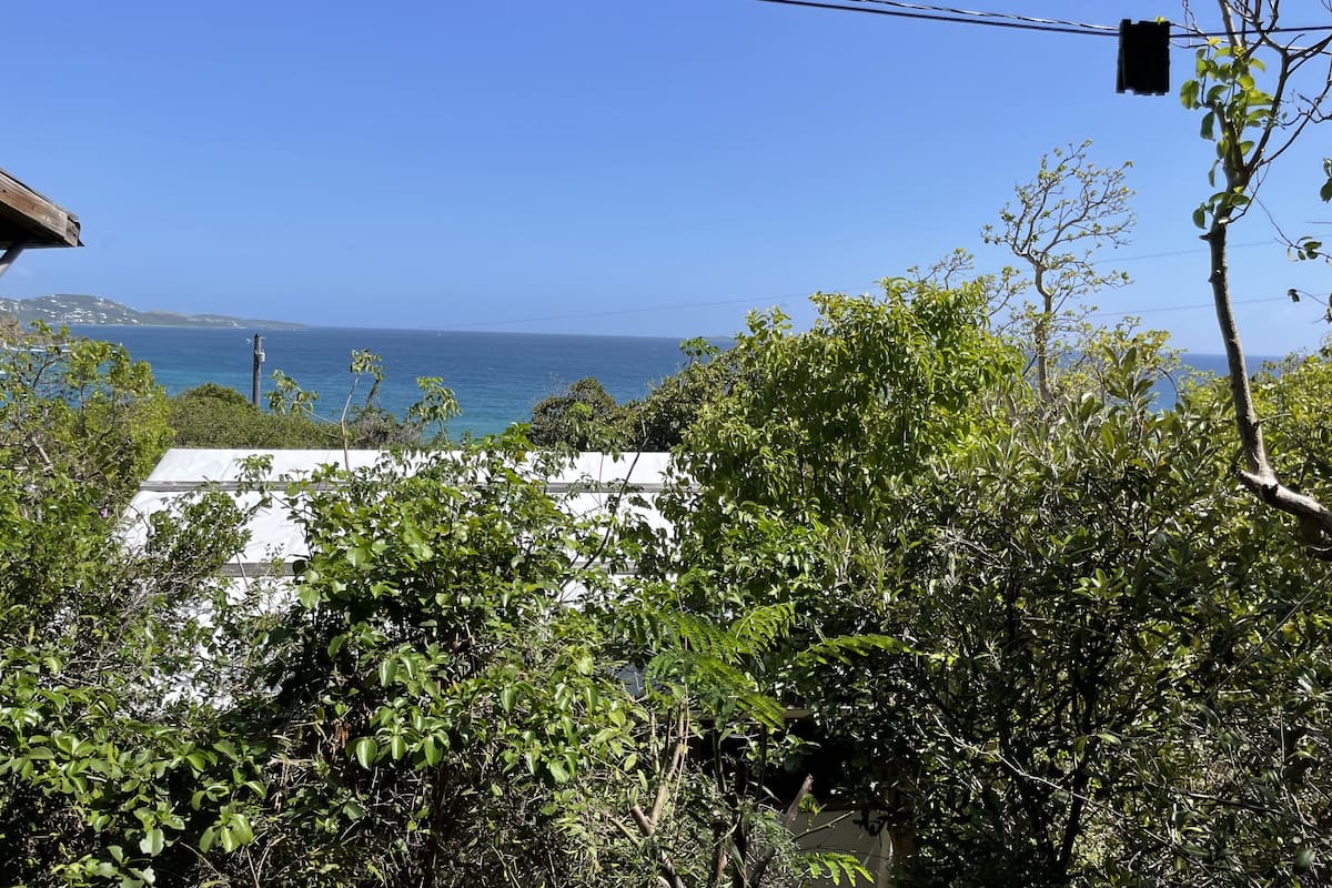 A view of a coastal area with dense foliage in the foreground and a clear blue sky.