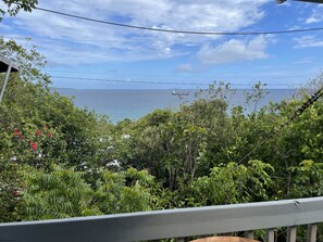 Deluxe boomhut | Uitzicht vanuit de kamer