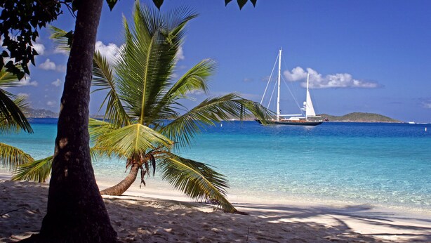 Une plage à l’eau turquoise et limpide, un voilier et des palmiers.