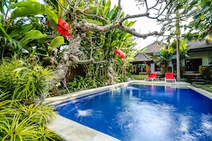 Outdoor pool, sun loungers - Bisma Sari Resort Ubud (Ubud)