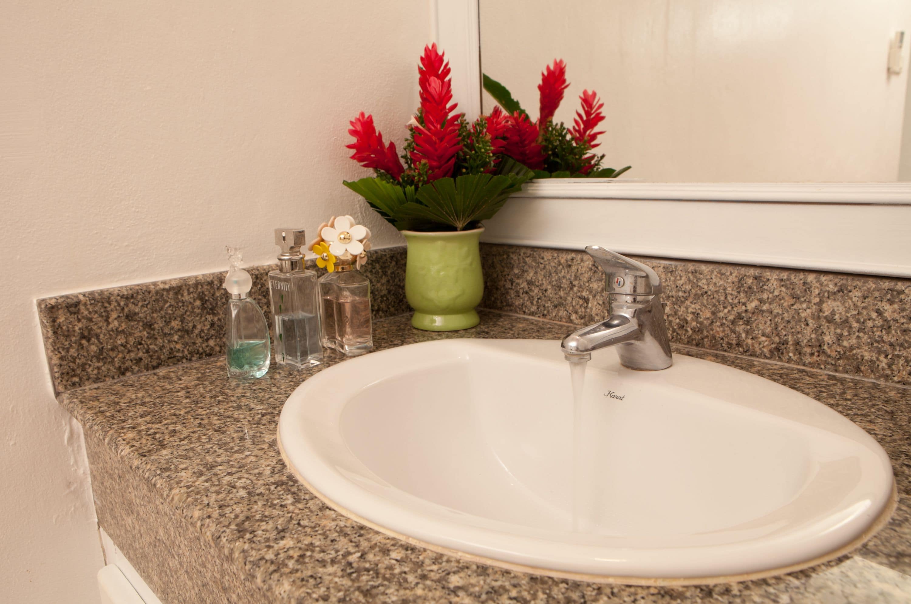 A bathroom sink with a granite countertop, a green vase with red flowers, and a mirror above.