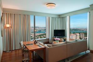 View from room - Renaissance Istanbul Polat Bosphorus Hotel (Istanbul)