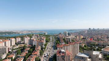 A cityscape with high-rise buildings, a central road, and a body of water in the distance.